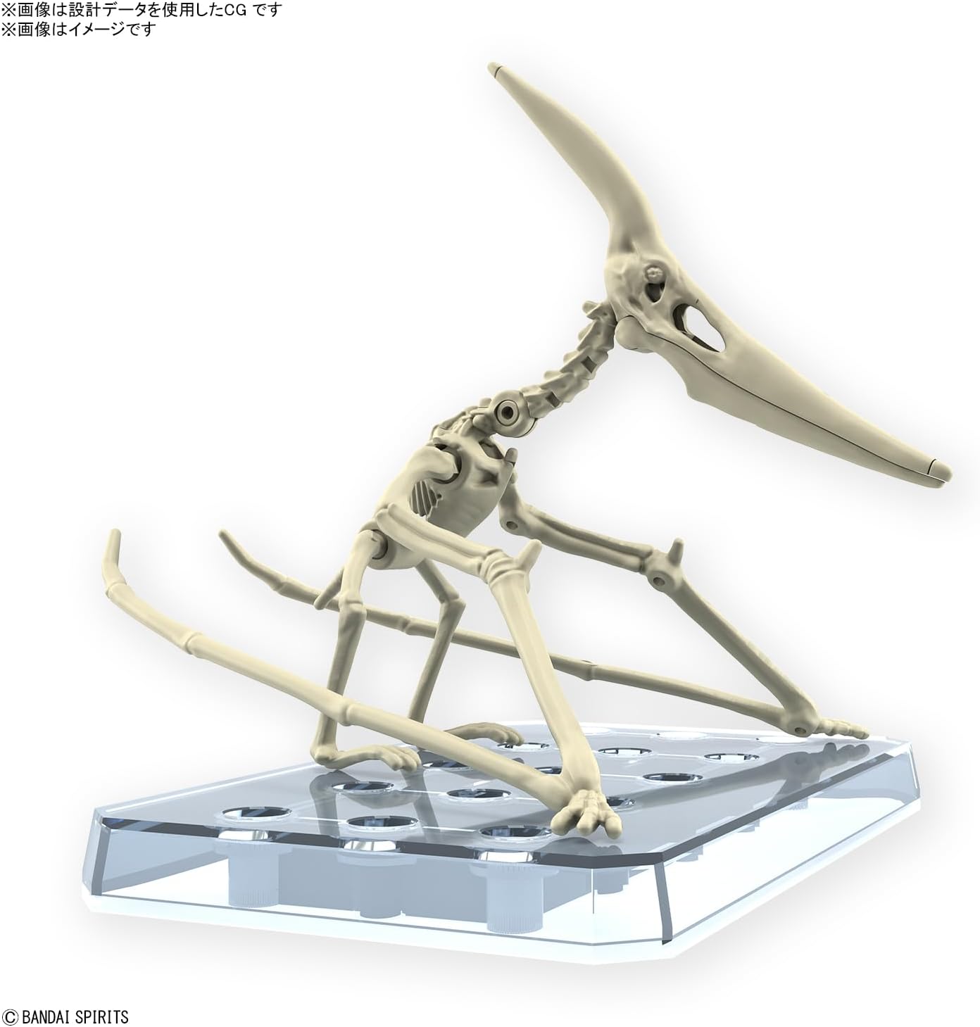 Plannosaurus Pteranodon BANDAI 66282